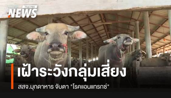 สสจ.มุกดาหาร เฝ้าระวังกลุ่มเสี่ยง "โรคแอนแทรกซ์"