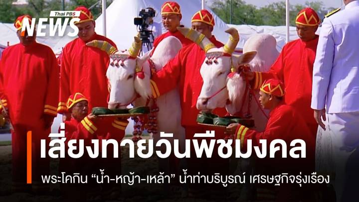 วันพืชมงคล 2568 พระโคกินน้ำ-หญ้า-เหล้า น้ำท่าบริบูรณ์-เศรษฐกิจรุ่งเรือง