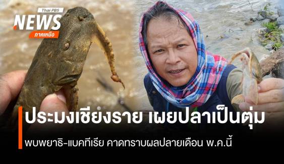 ประมงเชียงราย เผยปลาเป็นตุ่ม พบพยาธิ-แบคทีเรีย คาดทราบผลปลายเดือน พ.ค.นี้