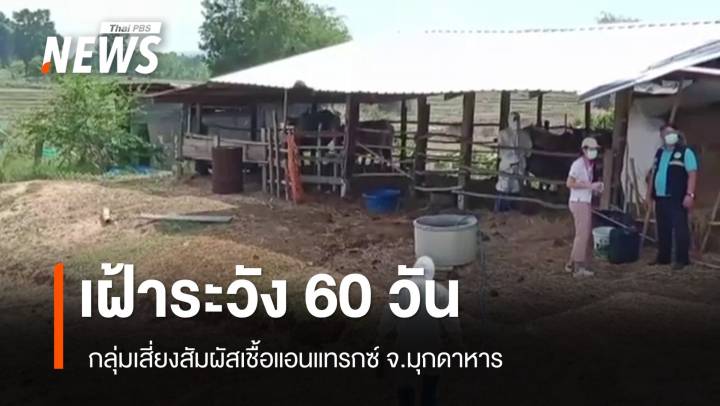 เฝ้าระวังกลุ่มเสี่ยงสัมผัสเชื้อแอนแทรกซ์ ต่อเนื่อง 60 วัน 