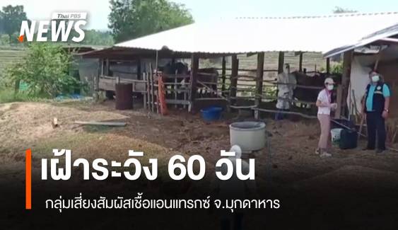 เฝ้าระวังกลุ่มเสี่ยงสัมผัสเชื้อแอนแทรกซ์ ต่อเนื่อง 60 วัน 