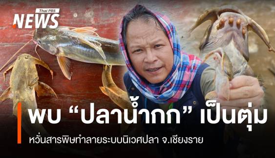 พบปลาน้ำกก-น้ำโขง เป็นตุ่ม หวั่นสารพิษทำลายระบบนิเวศปลา จ.เชียงราย