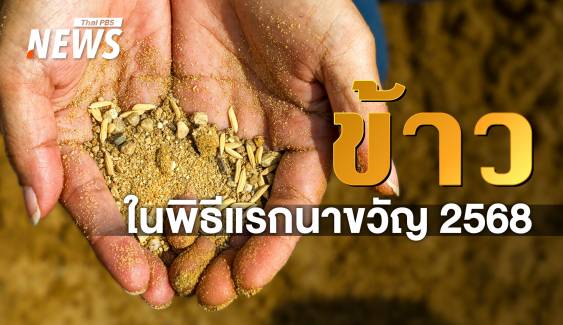 ข้าว 7 พันธุ์ ในพระราชพิธีพืชมงคลจรดพระนังคัลแรกนาขวัญ 2568