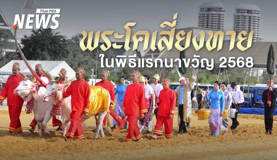 วันพืชมงคล เปิดที่มา พระโคแรกนาขวัญ 2568 โคพื้นเมือง เขางาม ขนสีขาว เดินสง่า