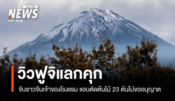 จับเจ้าของโรงแรมจีนในญี่ปุ่น ตัดต้นไม้เพื่อ "วิวฟูจิ" ไม่ขออนุญาต  