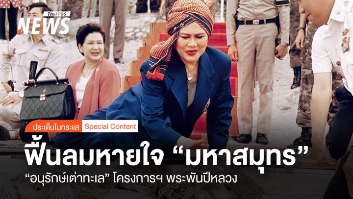 ฟื้นลมหายใจ "มหาสมุทร" อนุรักษ์เต่าทะเล โครงการฯ พระพันปีหลวง