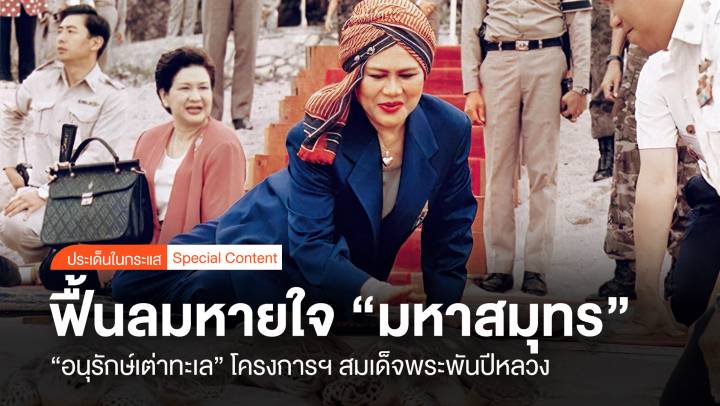 ฟื้นลมหายใจ "มหาสมุทร" อนุรักษ์เต่าทะเล โครงการฯ สมเด็จพระพันปีหลวง