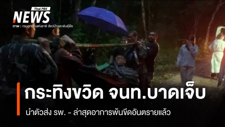 กระทิงขวิด จนท.พิทักษ์ป่าภูเขียวบาดเจ็บ - ล่าสุดอาการพ้นขีดอันตรายแล้ว 