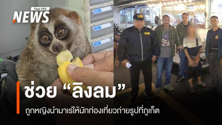 จับหญิงนำ “ลิงลม” เร่ให้นักท่องเที่ยวถ่ายรูปกลางตลาดถนนคนเดิน