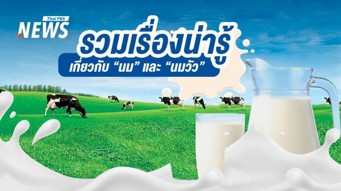 &quot;แพ้นม&quot; หรือ &quot;ย่อยแลคโตส&quot; ไม่ดี? รวมเรื่องน่ารู้เกี่ยวกับ &quot;นมวัว&quot;  