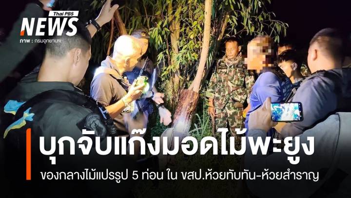 บุกจับแก๊งมอดไม้พะยูง ขสป.ห้วยทับทัน​-ห้วยสำราญ