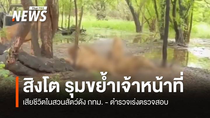 สิงโตรุมขย้ำ จนท.เสียชีวิต ในสวนสัตว์ดัง กทม. 