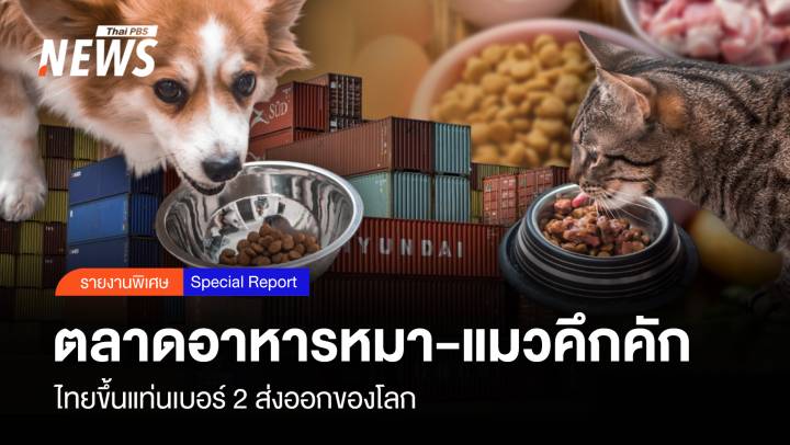 ตลาดอาหารหมา-แมวคึกคึก ไทยขึ้นแท่นเบอร์2 ส่งออกโลก
