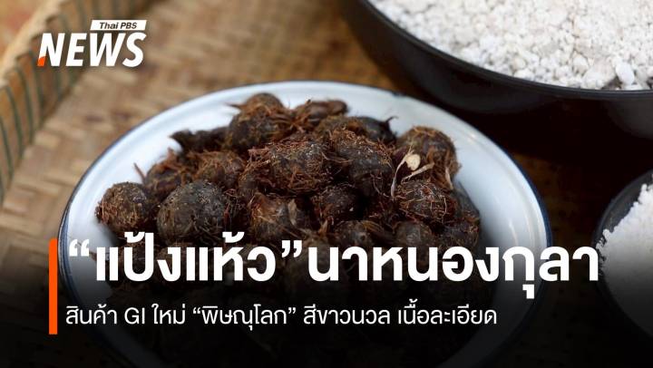 “แป้งแห้ว” นาหนองกุลาพิษณุโลก  สินค้าGI ใหม่ เนื้อนวลละเอียด