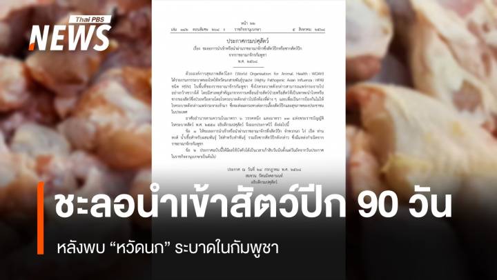 กรมปศุสัตว์ ชะลอนำเข้าสัตว์ปีก จาก "กัมพูชา" เป็นเวลา 90 วัน ป้องกันหวัดนก