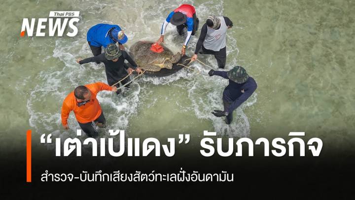 ปล่อย "คุณย่าเป้แดง" เต่าสำรวจ-บันทึกเสียงสัตว์ทะเลฝั่งอันดามัน