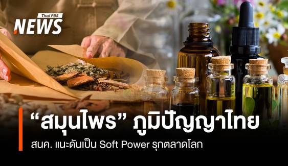 “สมุนไพร” ภูมิปัญญาไทย สนค. แนะดันเป็น Soft Power รุกตลาดโลก