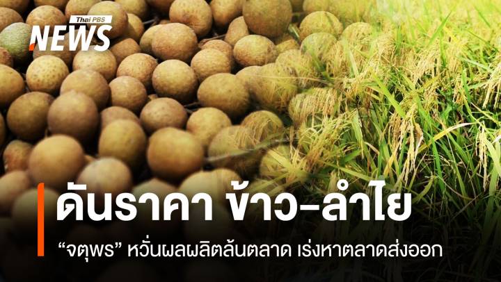 “จตุพร” ดันราคา ข้าว-ลำไย หวั่นผลผลิตล้นตลาด เร่งหาตลาดส่งออก