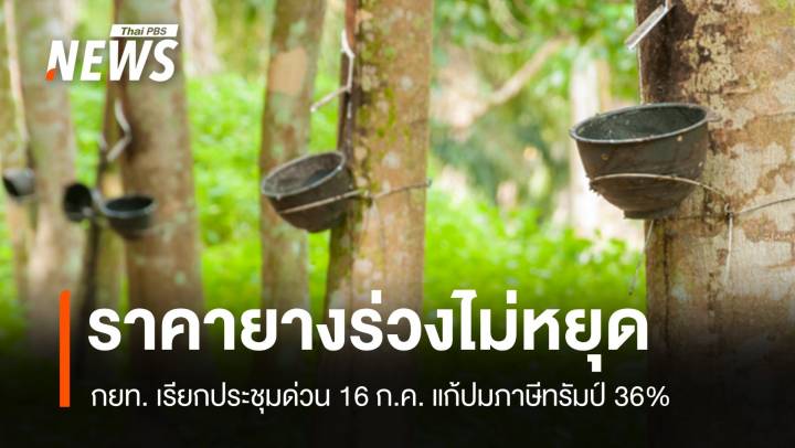 กยท.นัดด่วน เตรียมมาตรการรับมือภาษีสหรัฐฯ หวั่นกระทบยางไทย