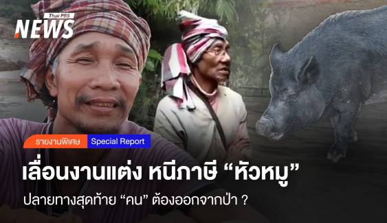 เลื่อนงานแต่ง หนีภาษีหัวหมู ปลายทางสุดท้าย "คน" ต้องออกจากป่า