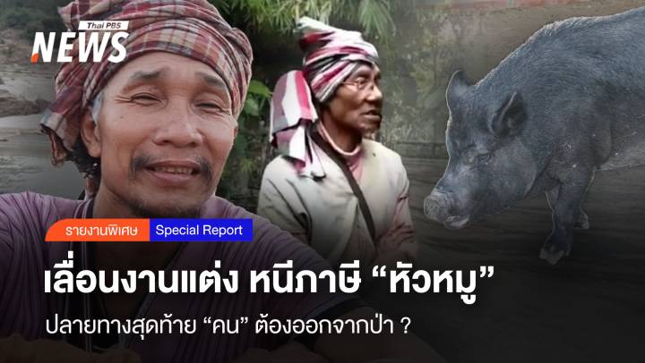 เลื่อนงานแต่ง หนีภาษีหัวหมู ปลายทางสุดท้าย "คน" ต้องออกจากป่า