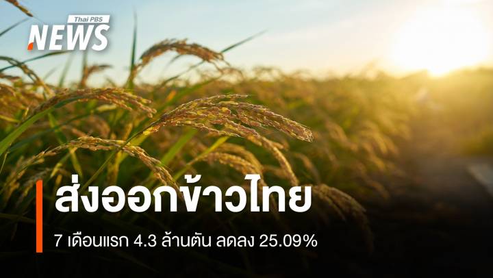  7 เดือนปี 68 ไทยส่งออกข้าว 4.30 ล้านตัน ดันยอดทั้งปีให้ได้ตามเป้า