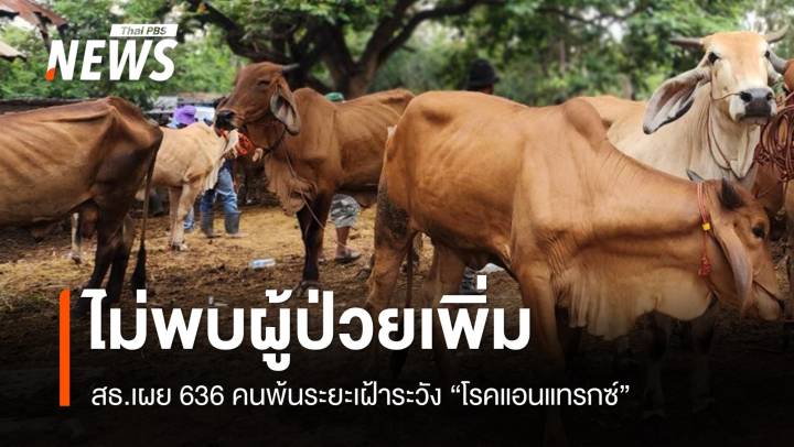 636 คนพ้นระยะเฝ้าระวัง "โรคแอนแทรกซ์" ป่วยสะสม 4 ไม่พบติดเชื้อเพิ่ม