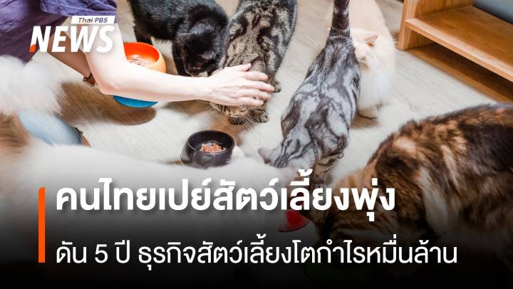  คนไทยเปย์สัตว์เลี้ยงพุ่ง ดัน 5 ปี ธุรกิจสัตว์เลี้ยงโตกำไรหมื่นล้าน 
