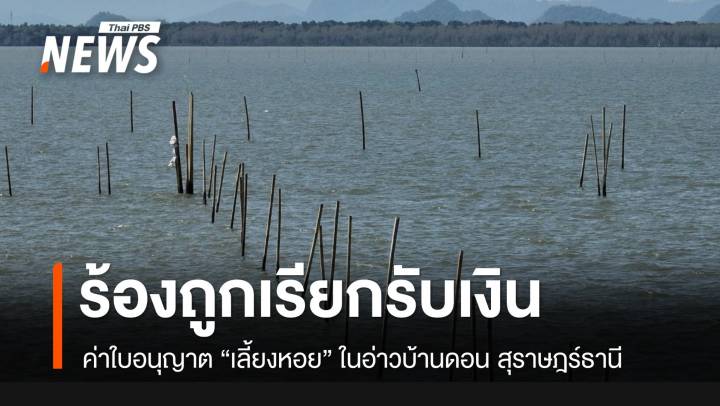 เปิดขบวนการเรียกรับเงิน “ค่าใบอนุญาตเลี้ยงหอย” อ่าวบ้านดอน เขต อ.เมืองสุราษฎร์ธานี