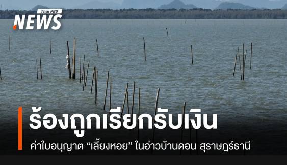 เปิดขบวนการเรียกรับเงิน “ค่าใบอนุญาตเลี้ยงหอย” อ่าวบ้านดอน เขต อ.เมืองสุราษฎร์ธานี
