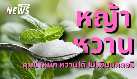 รู้จัก "หญ้าหวาน" สมุนไพรสุดชิก หวานฟิน ไร้แคลอรี
