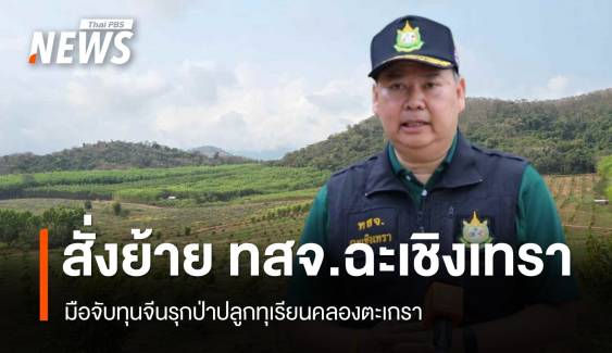 สั่งย้าย ทสจ.ฉะเชิงเทรา มือจับทุนจีนรุกป่าปลูกทุเรียนคลองตะเกรา
