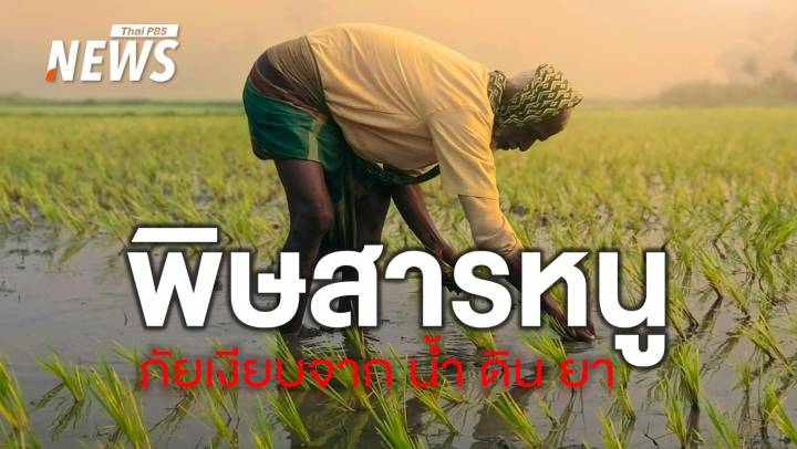 รู้จัก "พิษสารหนู" จากท้องเสียถึงมะเร็งร้ายแรง  