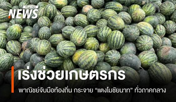 "แตงโมชัยนาท" ราคาตกต่ำ "พาณิชย์" เร่งเชื่อมตลาดช่วยเกษตรกร