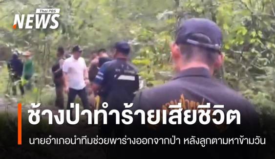 สลด! ชาวบ้านท่าตะเกียบออกไปเก็บพริก ถูกช้างป่าทำร้ายเสียชีวิต