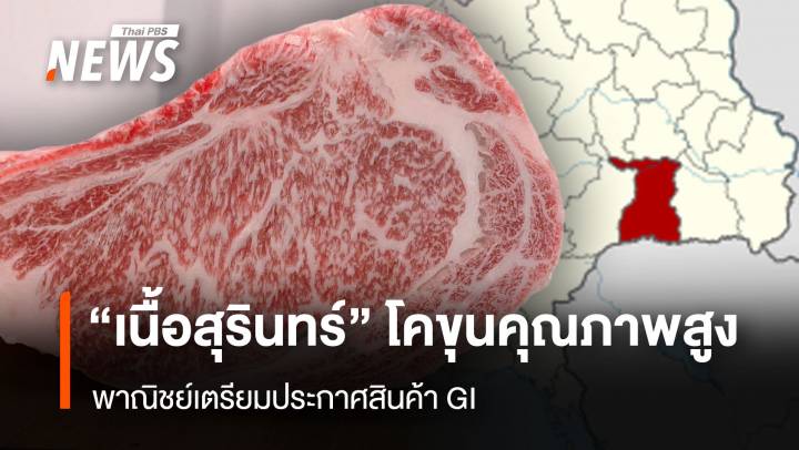 “เนื้อสุรินทร์” โคขุนคุณภาพสูง พาณิชย์เตรียมประกาศสินค้า GI