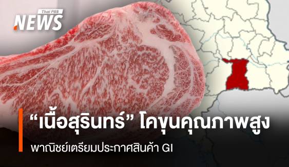 “เนื้อสุรินทร์” โคขุนคุณภาพสูง พาณิชย์เตรียมประกาศสินค้า GI