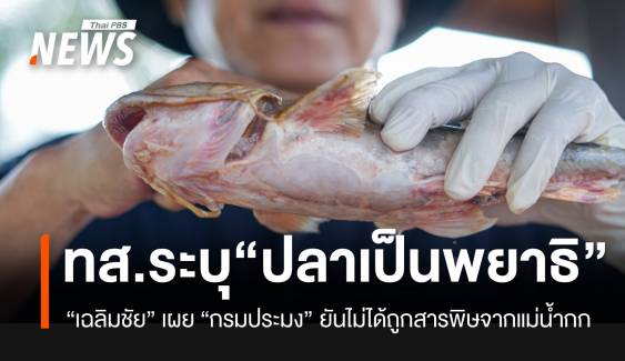 "เฉลิมชัย" ระบุปลาน้ำกกบวม เกิดจากพยาธิไม่ใช่สารพิษ