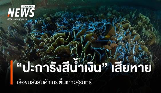 "ปะการังสีน้ำเงิน" เสียหายหนัก เหตุเรือส่งสินค้าเกยตื้นเกาะสุรินทร์
