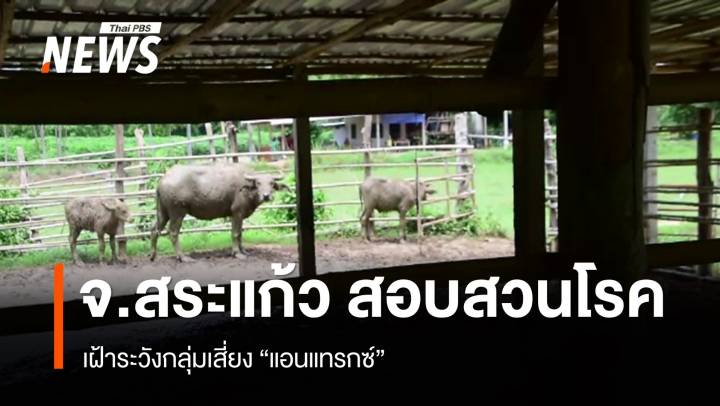 จ.สระแก้ว สอบสวนโรค-เฝ้าระวังกลุ่มเสี่ยง "แอนแทรกซ์" 