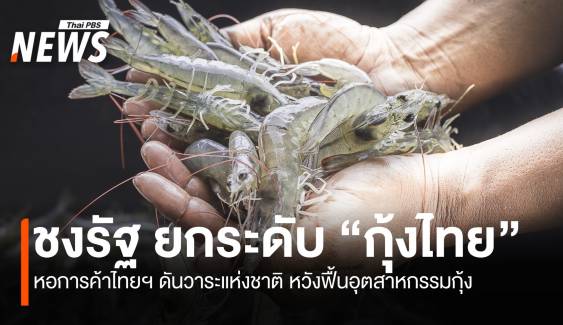 หอการค้าไทยฯ ชงรัฐ ยกระดับกุ้งไทย หวังฟื้นอุตสาหกรรมกุ้ง