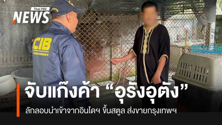 บก.ปทส.จับขบวนการค้า “ลิงอุรังอุตัง” จากอินโดฯ