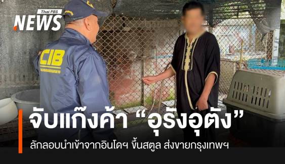 บก.ปทส.จับขบวนการค้า “ลิงอุรังอุตัง” จากอินโดฯ