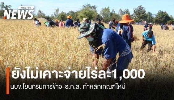 ยังไม่เคาะไร่ละ1,000 นบข.โยนกรมการข้าว-ธ.ก.ส.ทำหลักเกณฑ์ใหม่