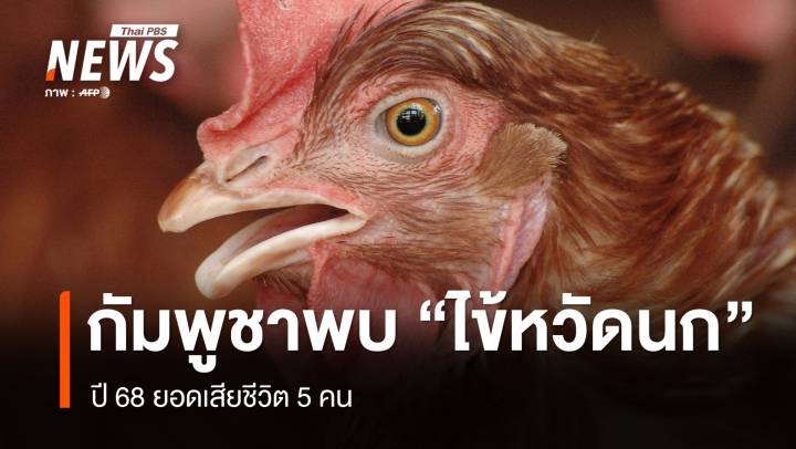 กัมพูชา ป่วย "ไข้หวัดนก" ปี 68 เสียชีวิตแล้ว 5 คน