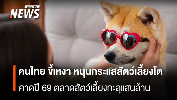 คนไทย ขี้เหงา หนุนกระแสสัตว์เลี้ยงโต คาดปี69 ตลาดสัตว์เลี้ยงทะลุแสนล้าน   