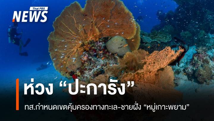 ทส.กำหนดเขตคุ้มครองทางทะเล-ชายฝั่ง "หมู่เกาะพยาม" 1.5 พันไร่ 
