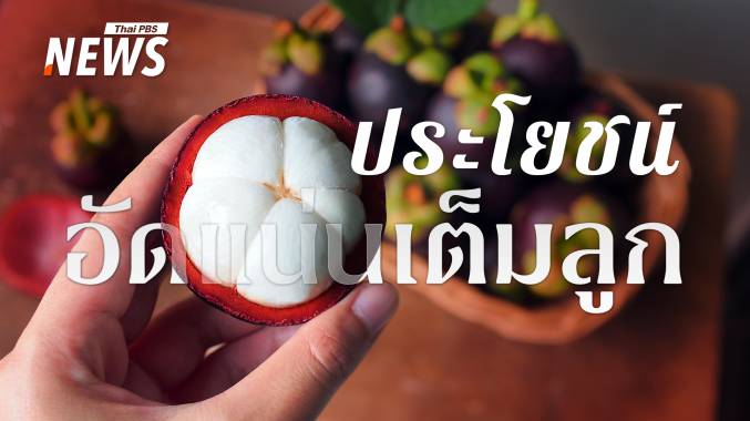 มังคุด ผลไม้ฤทธิ์เย็น หวานชื่นใจ แต่ใครต้องกินอย่างระวัง