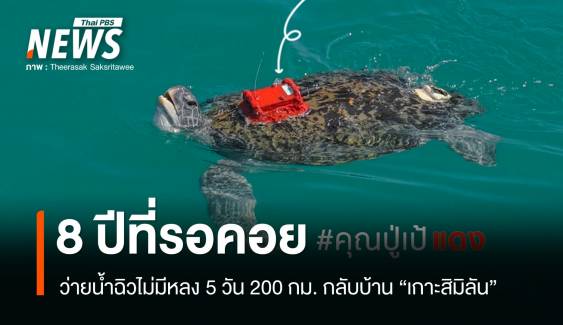 "คุณปู่เป้แดง" 8 ปีที่รอคอยว่ายน้ำ 5 วัน 200 กม. กลับบ้านสิมิลัน 