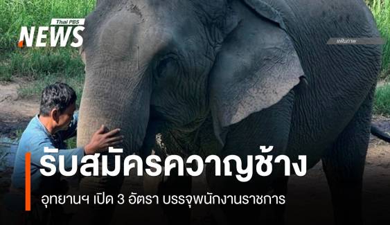 ครั้งแรก! เปิดรับ 3 ควาญช้างประจำกรมอุทยานภารกิจย้ายช้างเกเร